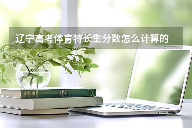 辽宁高考体育特长生分数怎么计算的